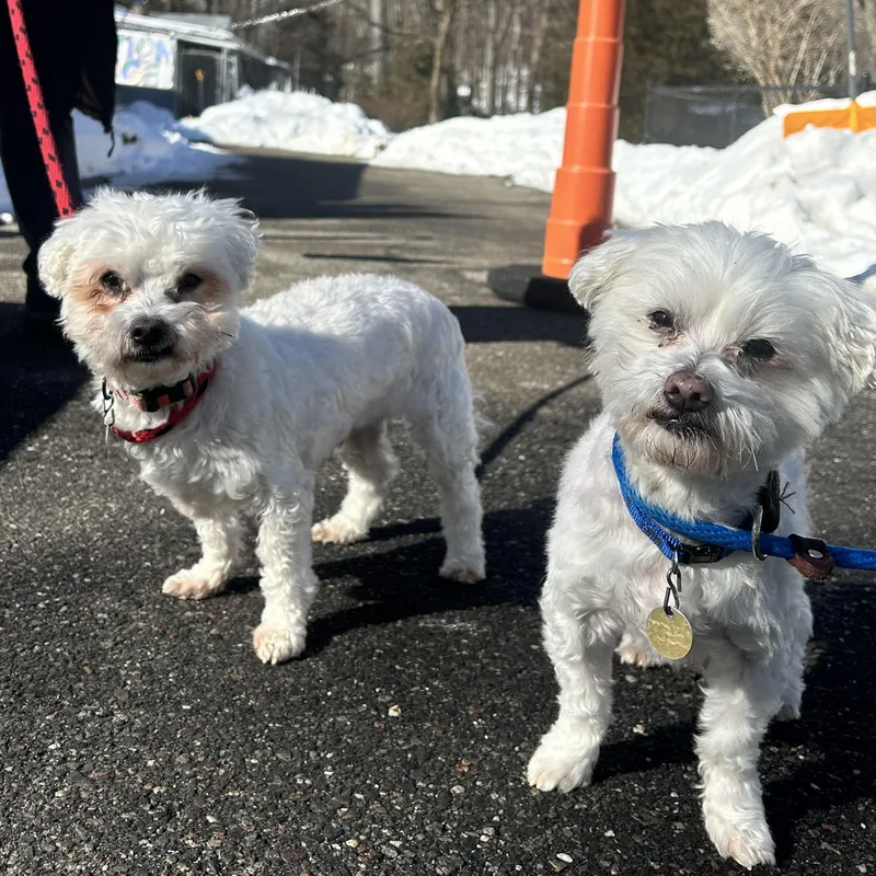 Pillsbury And Doughboy