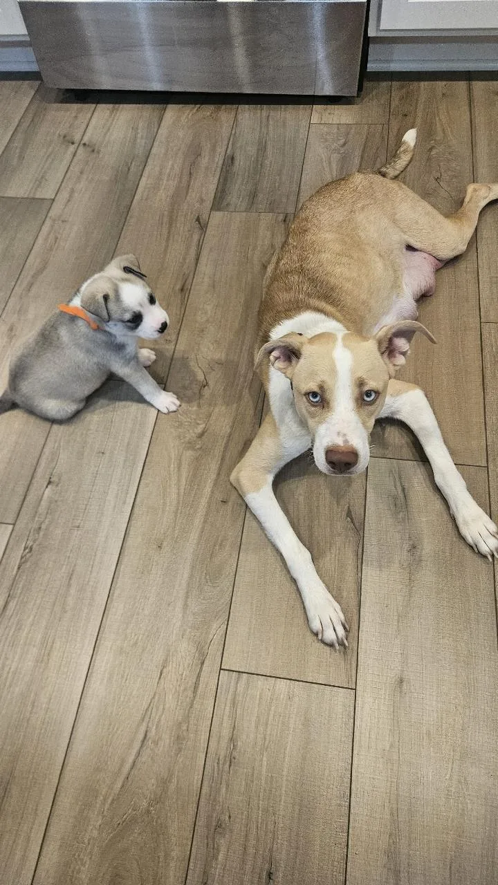 Mamma Winnie thumbnail 2