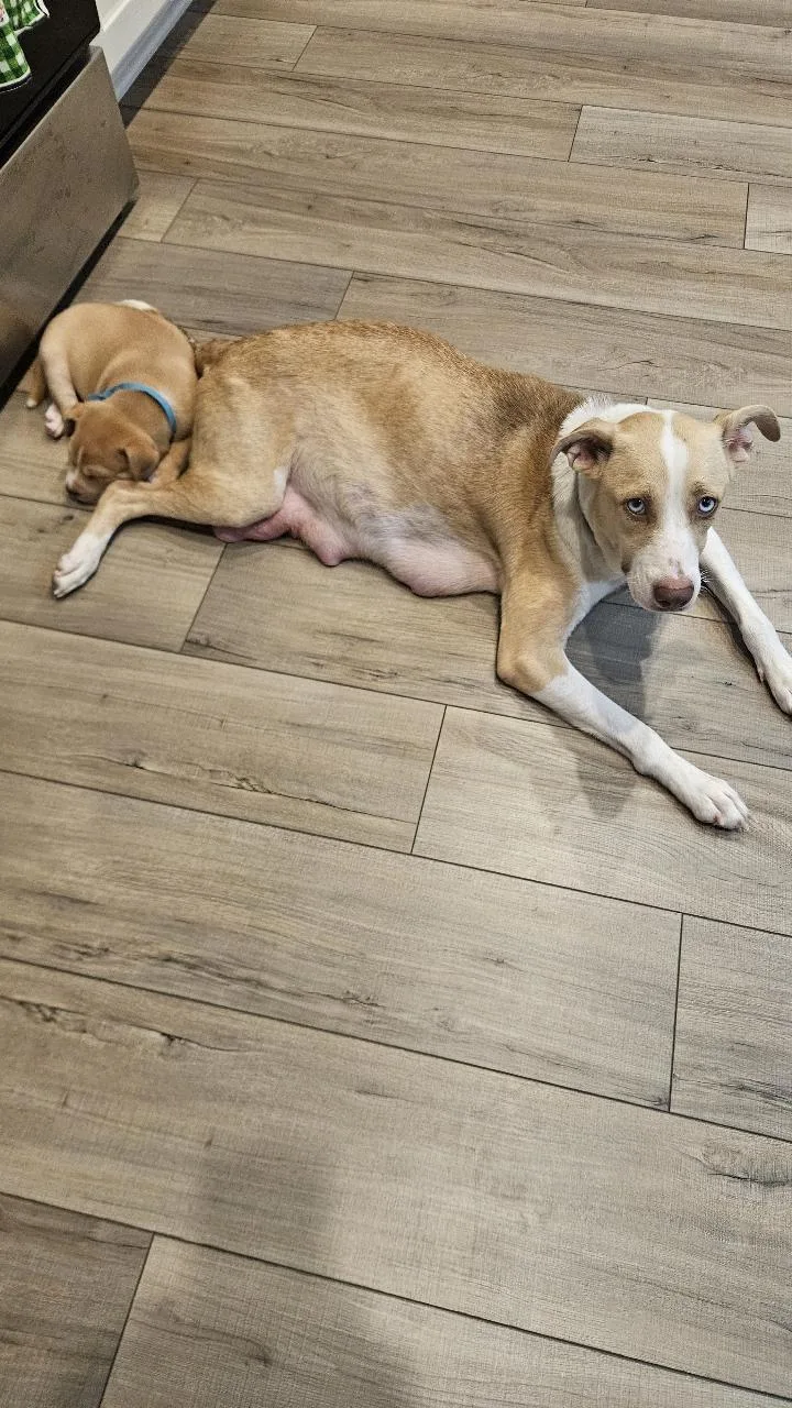 Mamma Winnie thumbnail 3