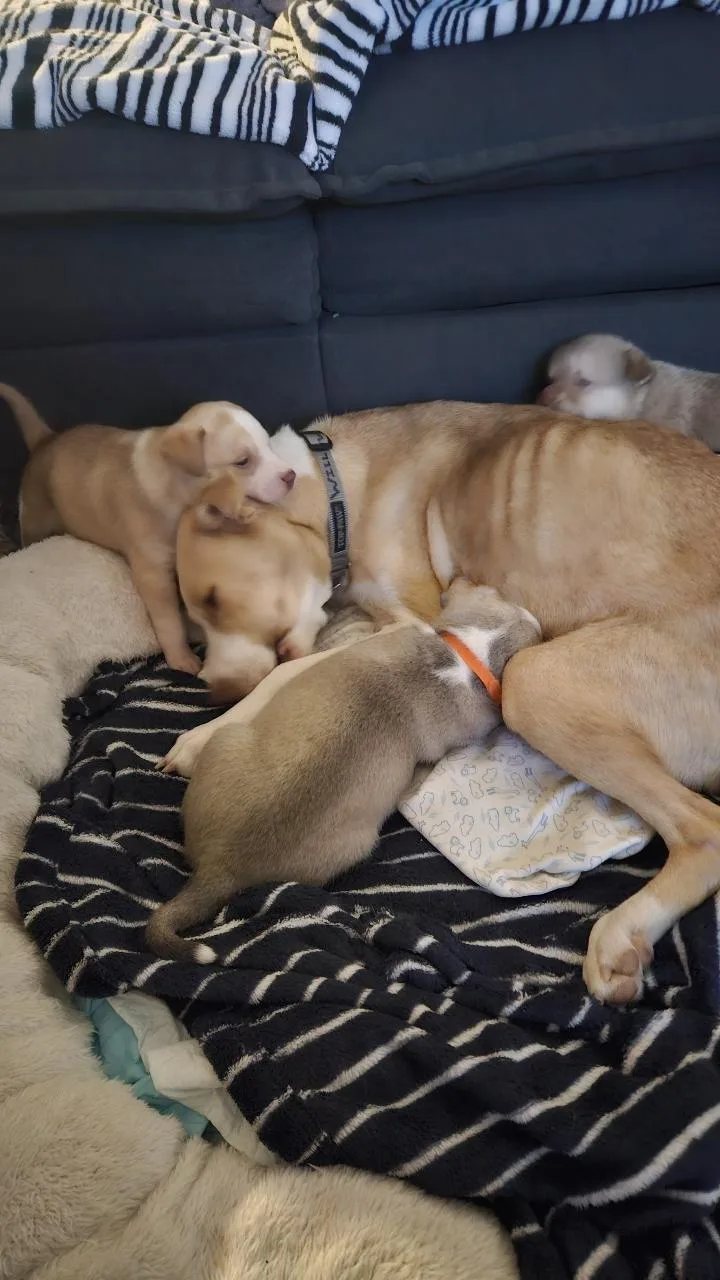 Mamma Winnie thumbnail 5