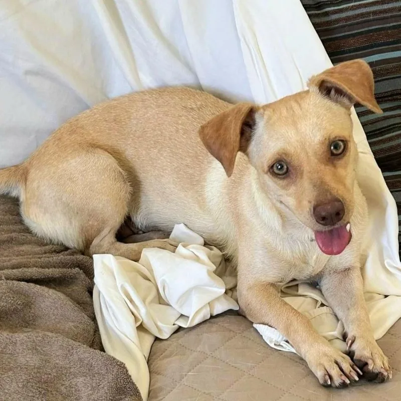 Camila Angelique "the Beach thumbnail 2