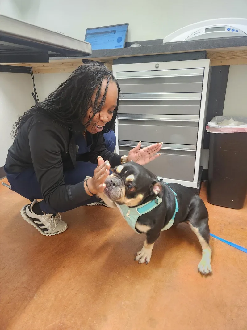 Margot Jelly Bean thumbnail 2