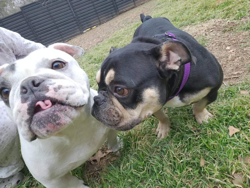 Margot Jelly Bean thumbnail 4