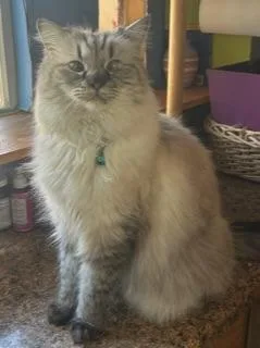 Dusty And Lil' B thumbnail 2