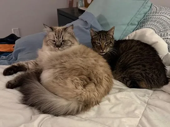 Dusty And Lil' B thumbnail 3