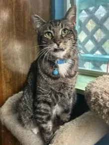 Dusty And Lil' B thumbnail 4