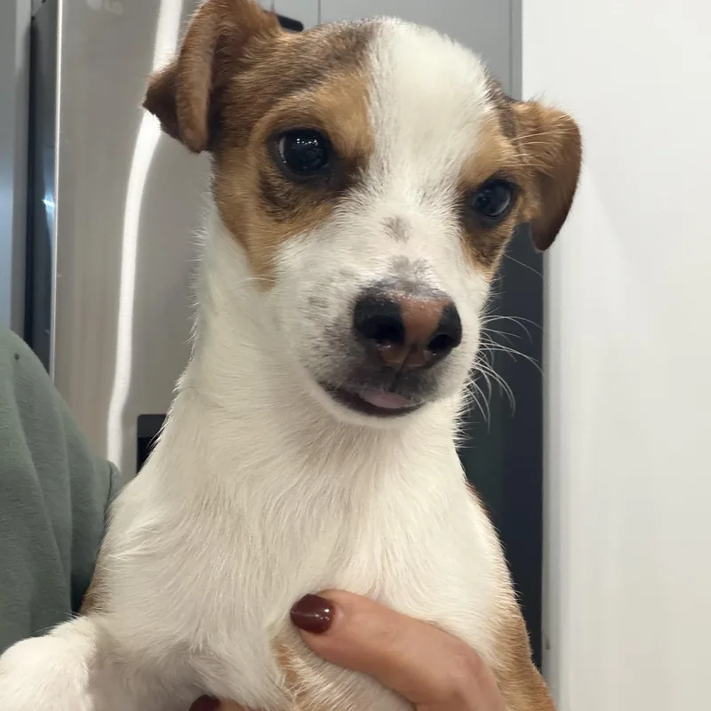 Mr. Tiny Dj thumbnail 4