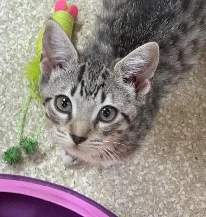 Shirley $ thumbnail 2