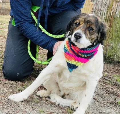 Peanut $ thumbnail 2