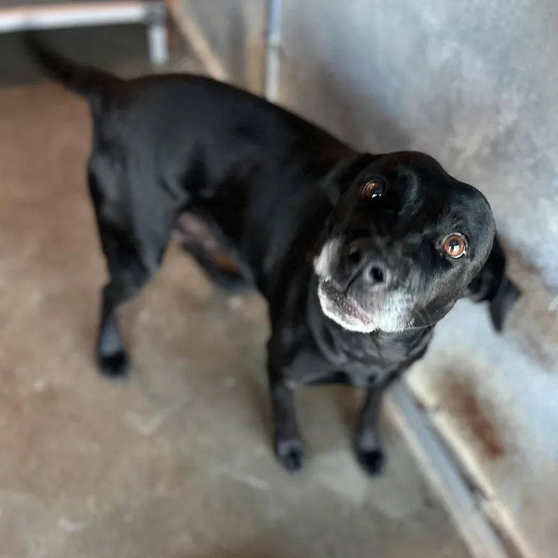 Victoria thumbnail 2