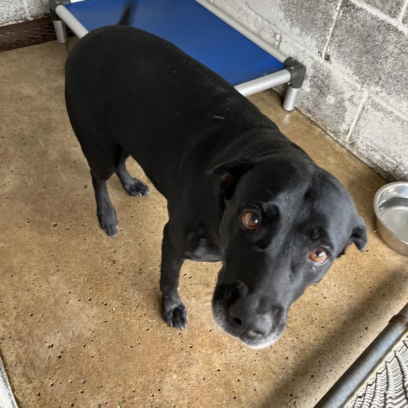 Victoria thumbnail 3