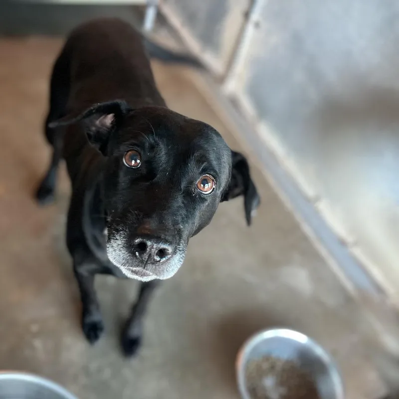 Victoria thumbnail 5