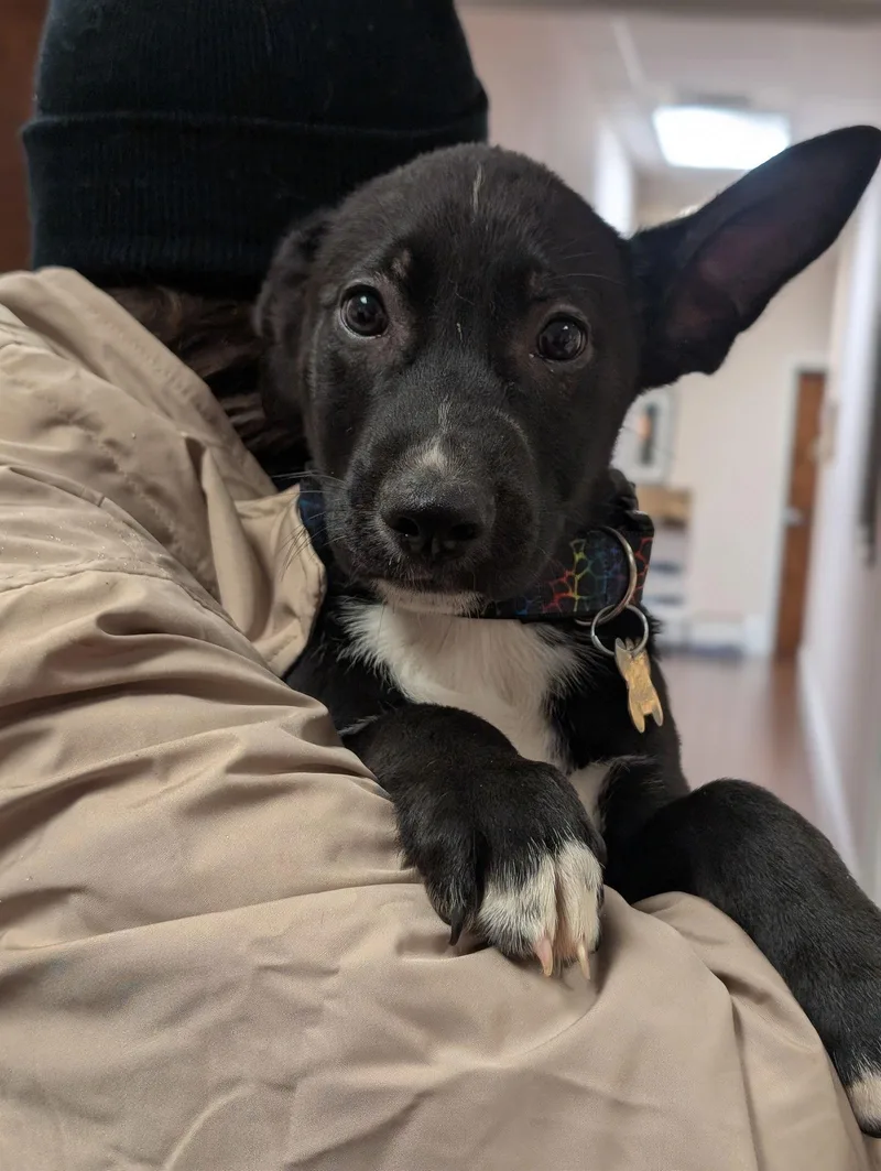 Bon Jovi thumbnail 2