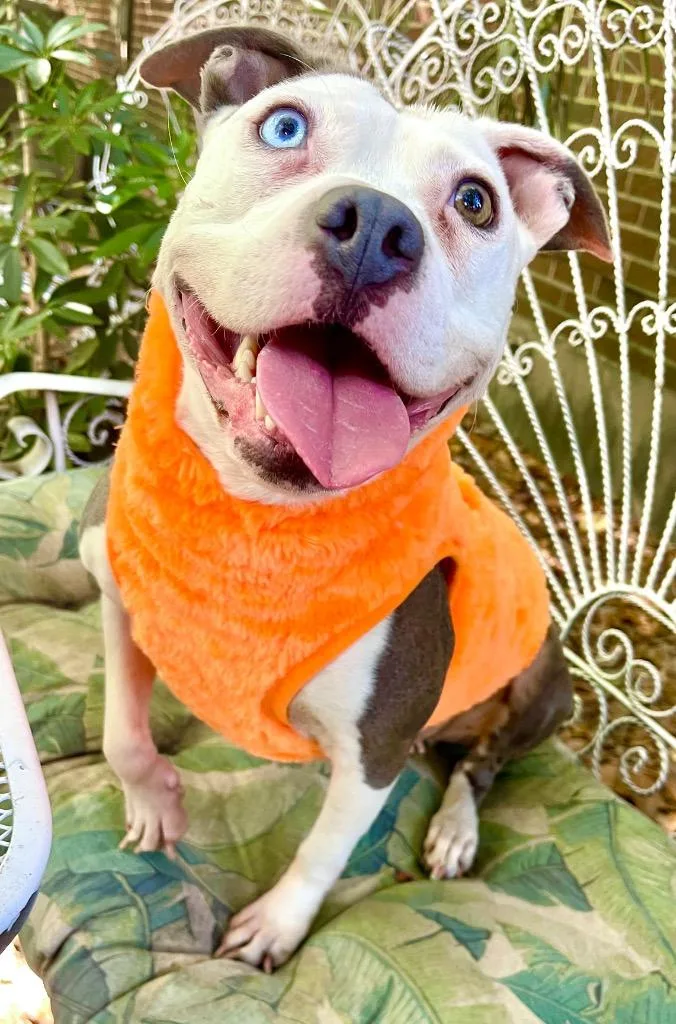 Lucinda  Local thumbnail 2