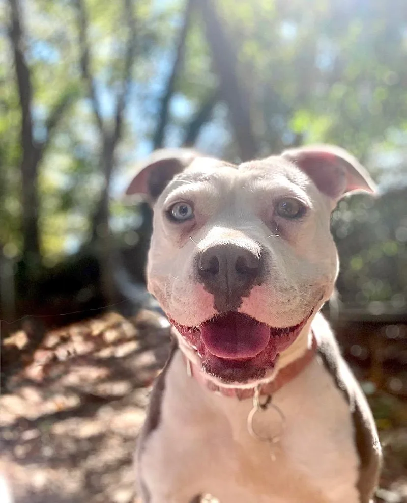 Lucinda  Local thumbnail 3