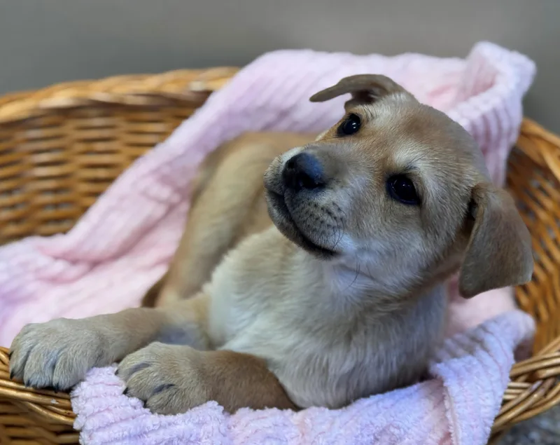 Funshine Bear thumbnail 2