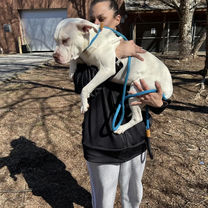 Rollie Pollie thumbnail 2