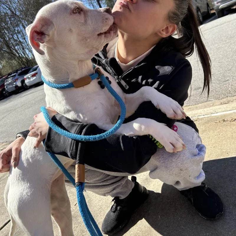 Rollie Pollie thumbnail 6