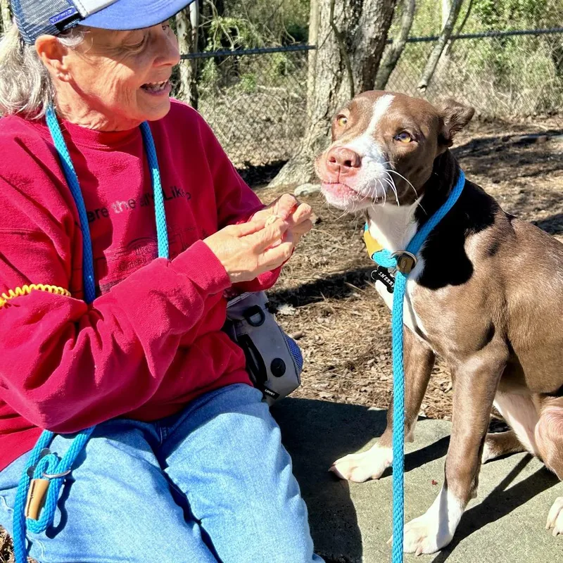 Junie B Jones thumbnail 3