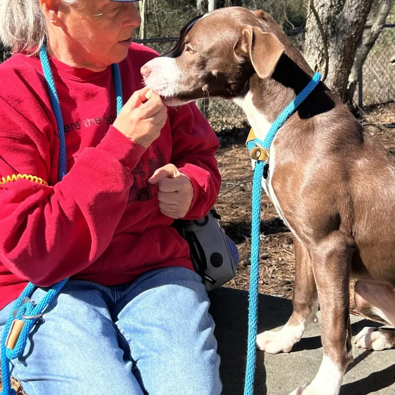 Junie B Jones thumbnail 5