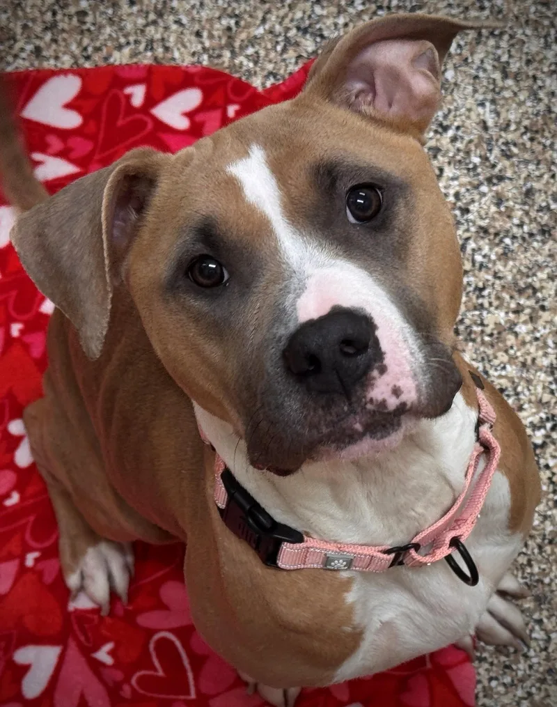 Precious thumbnail 3