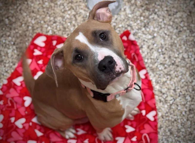 Precious thumbnail 4