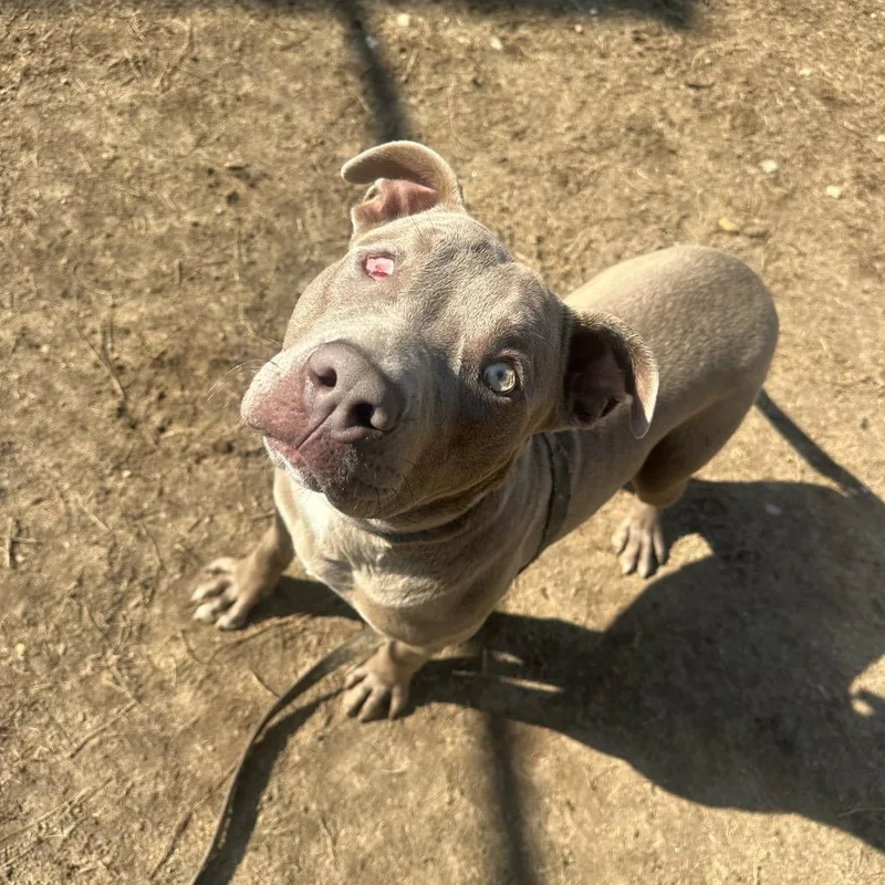 Wazowski thumbnail 2