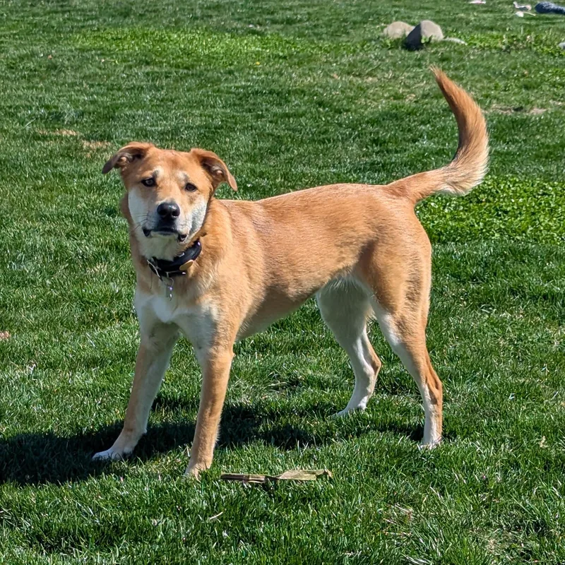 River Song thumbnail 2