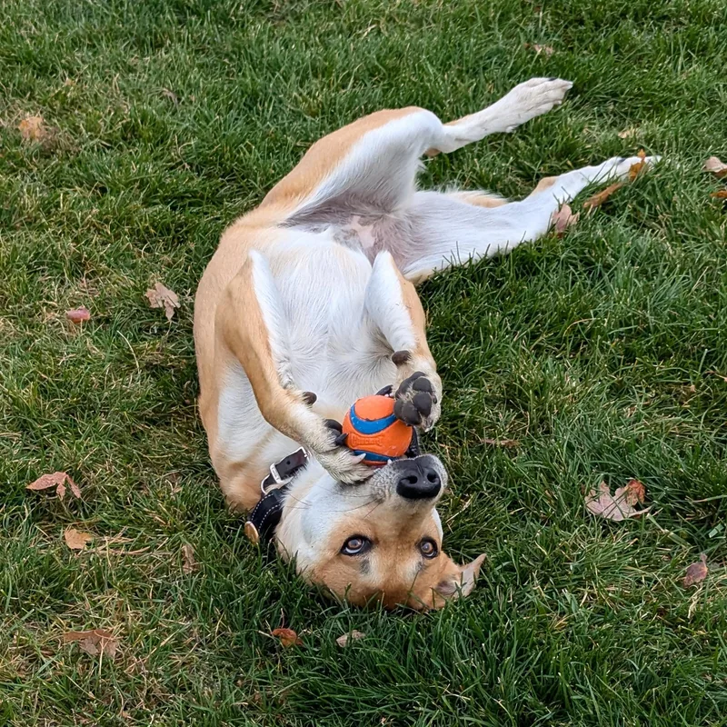 River Song thumbnail 3