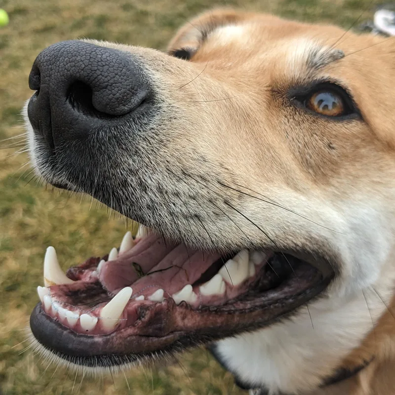 River Song thumbnail 4