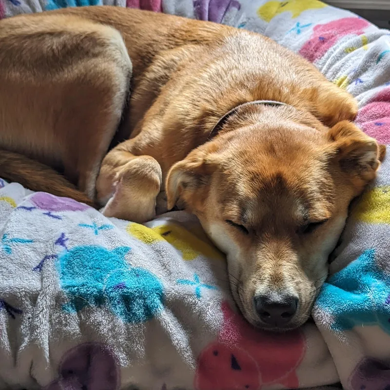 River Song thumbnail 6