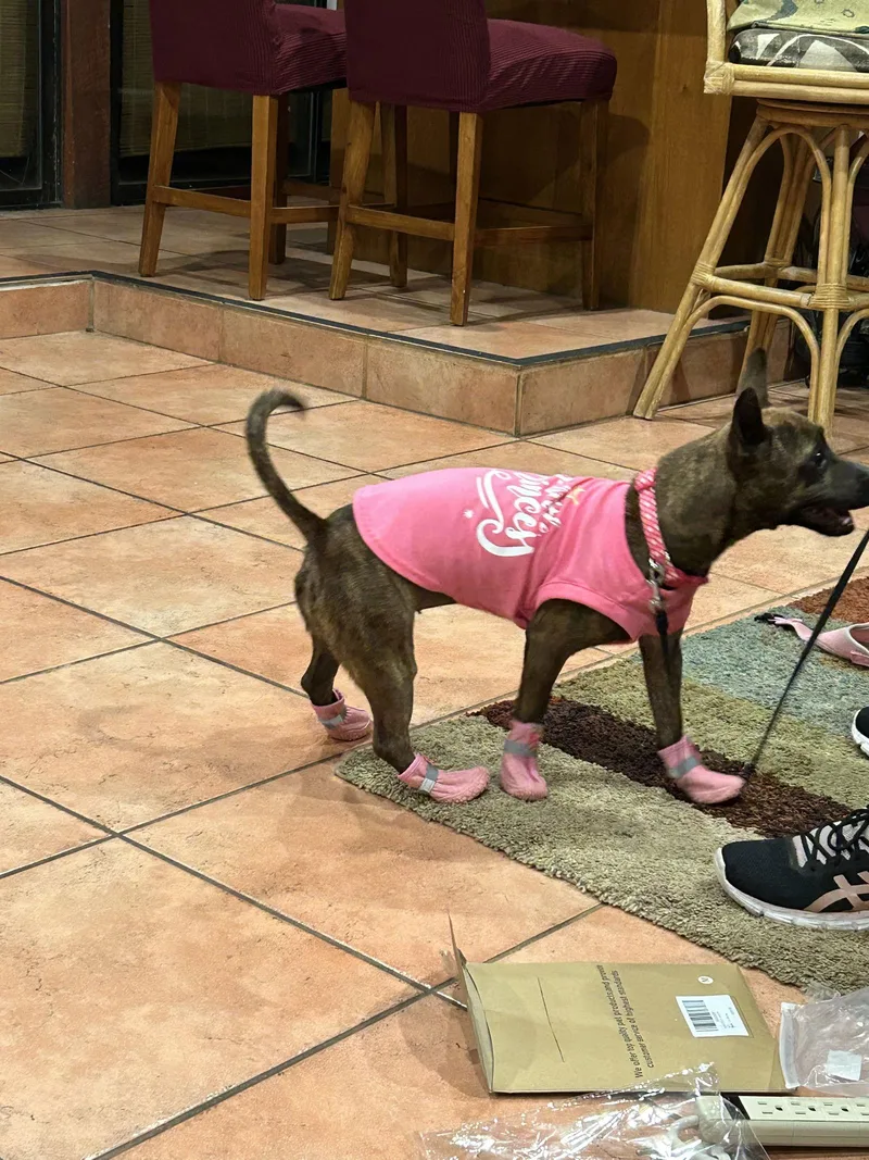 Liora Fh thumbnail 2