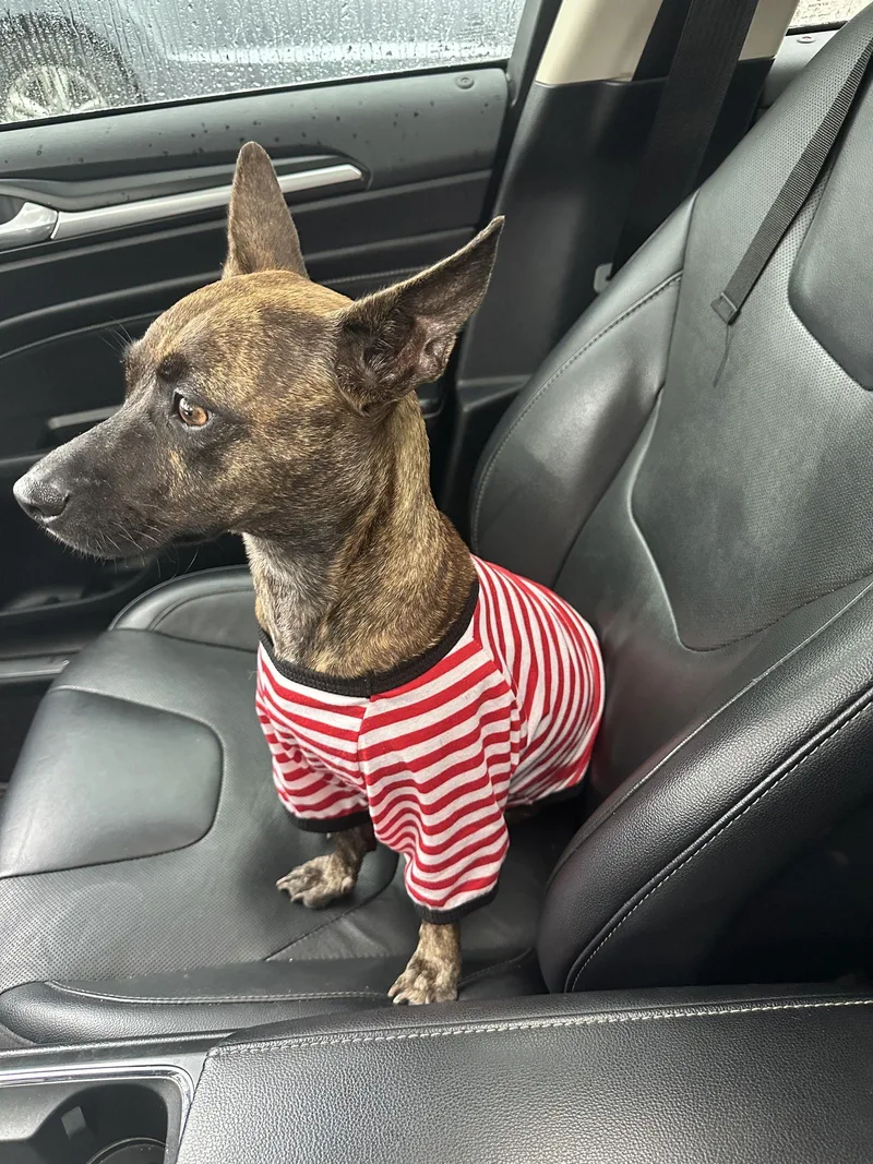 Liora Fh thumbnail 3