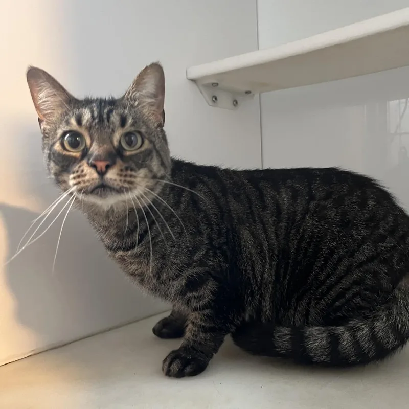 Little Bit thumbnail 2