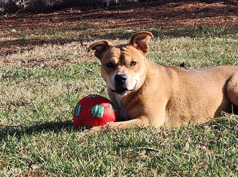 Marrieta thumbnail 2