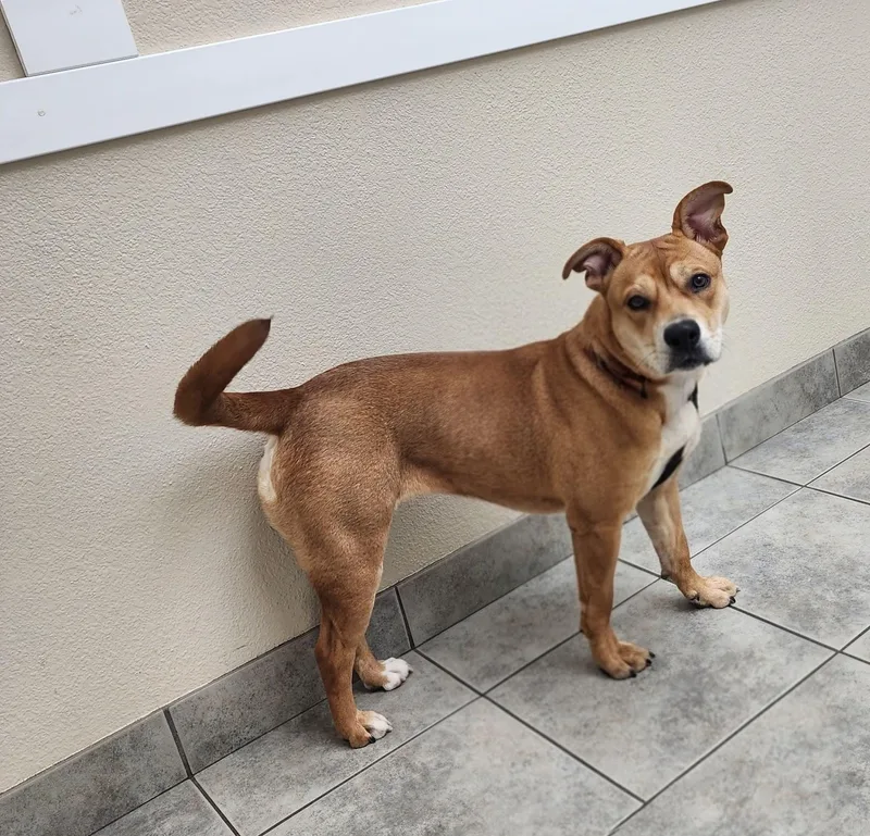 Marrieta thumbnail 3