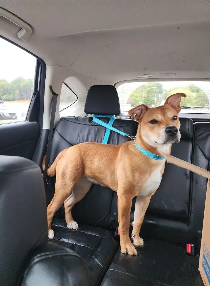 Marrieta thumbnail 4