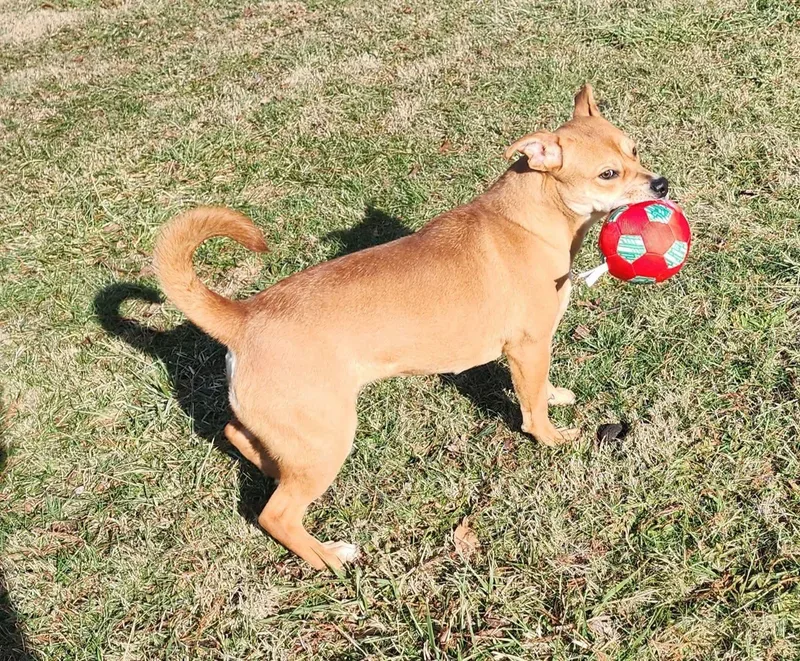 Marrieta thumbnail 5