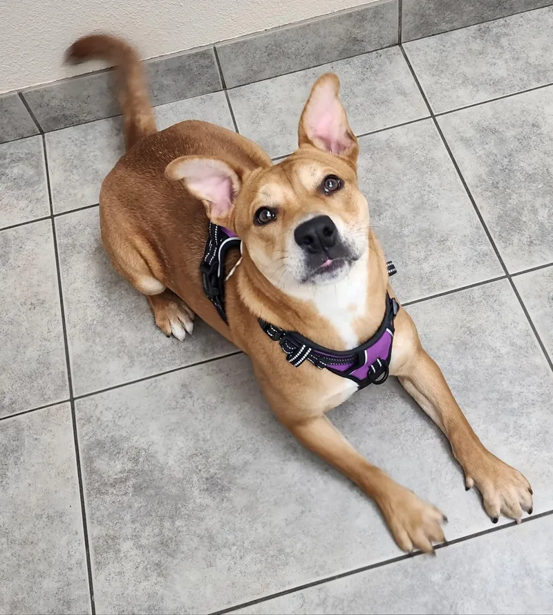 Marrieta thumbnail 6