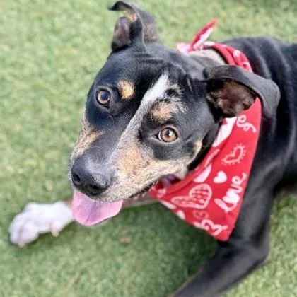 Billy Bones thumbnail 2