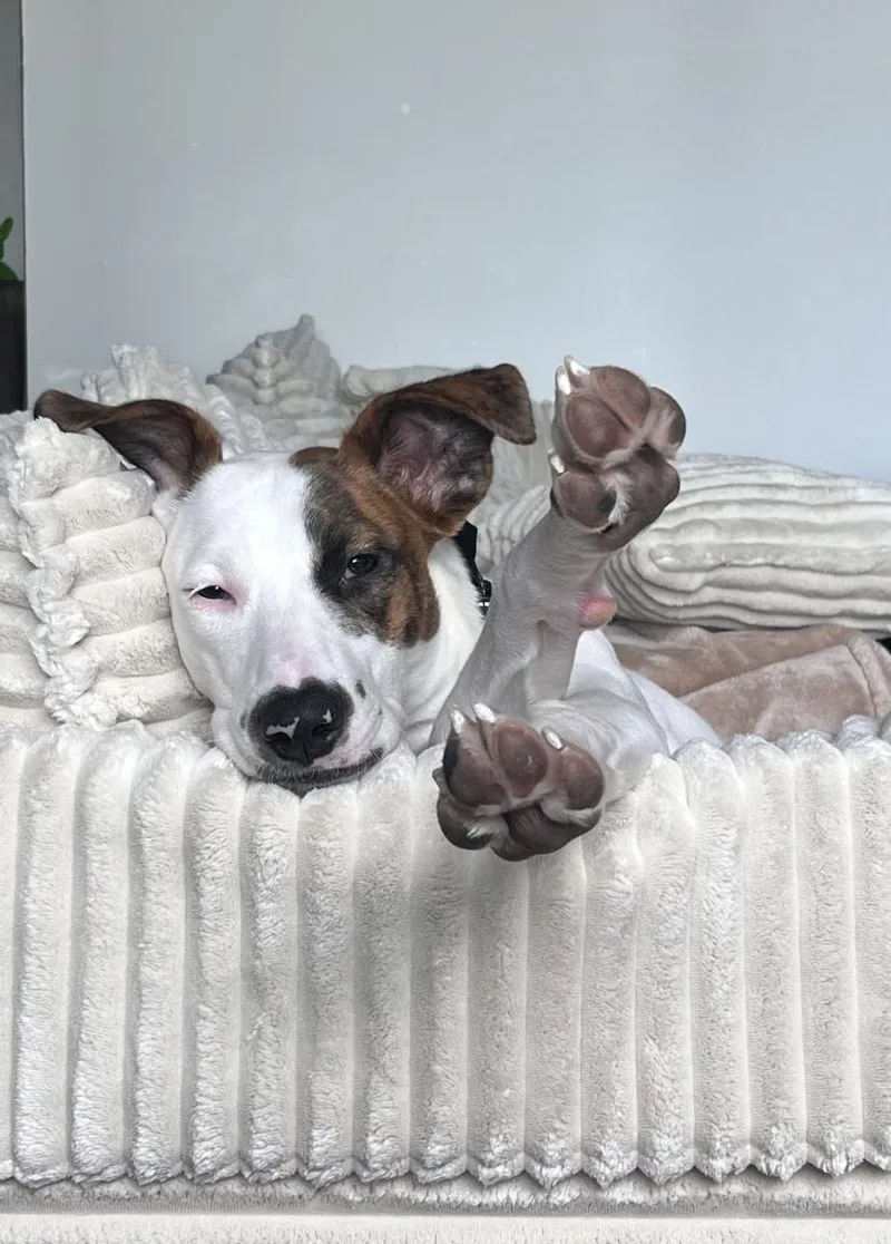 That's Hot thumbnail 2