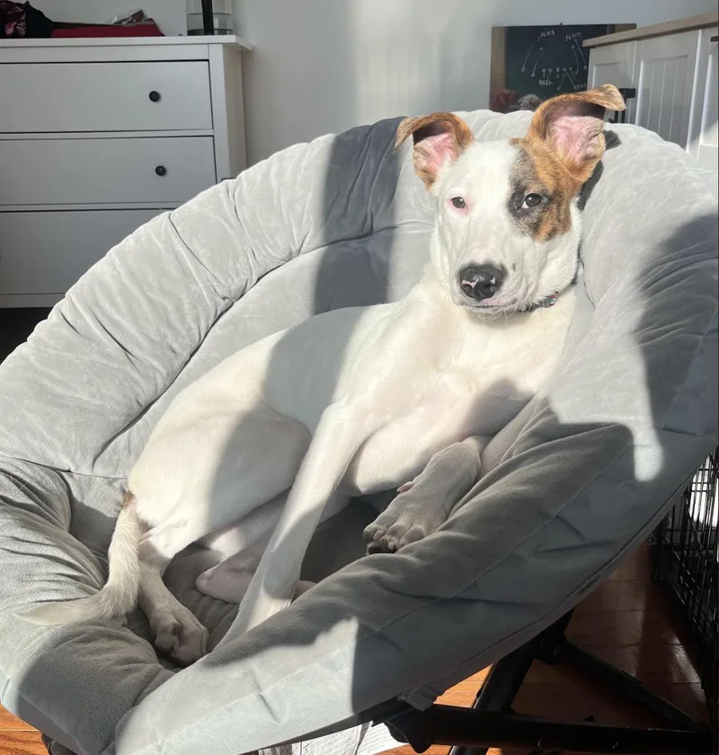 That's Hot thumbnail 3