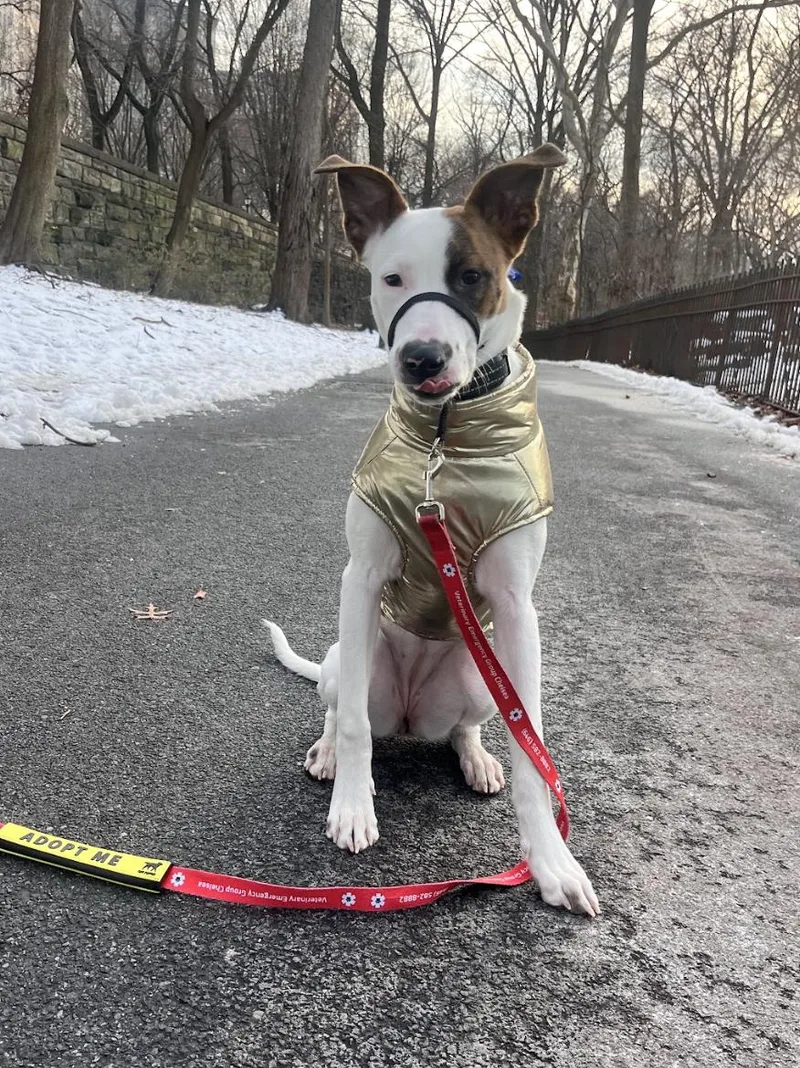 That's Hot thumbnail 4