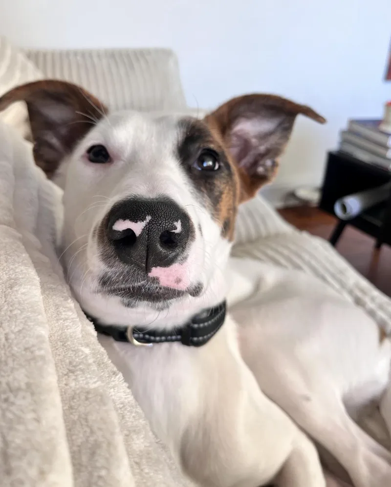 That's Hot thumbnail 5