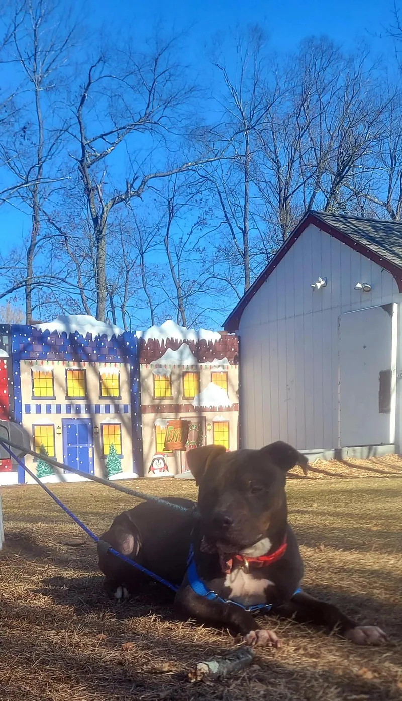 Buster Urgent thumbnail 2