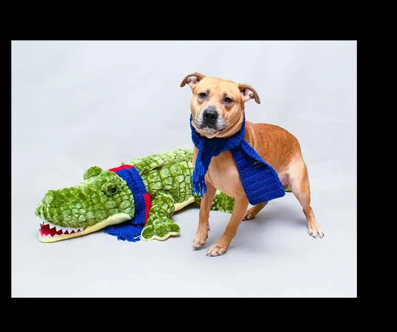 Van Halen thumbnail 3