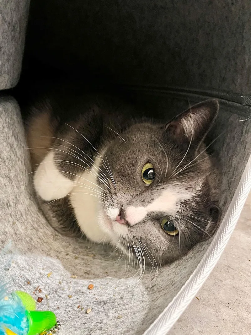 Ms. Paw Paw thumbnail 3