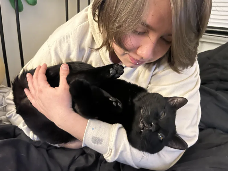 Pappy Aka Black Lab thumbnail 3