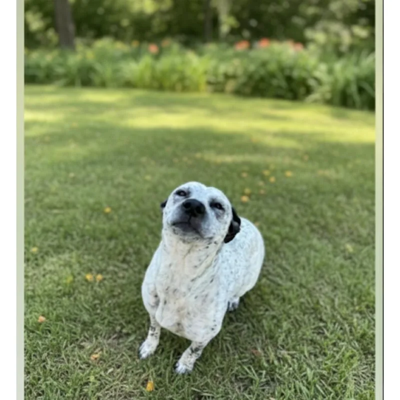 Freckles thumbnail 2