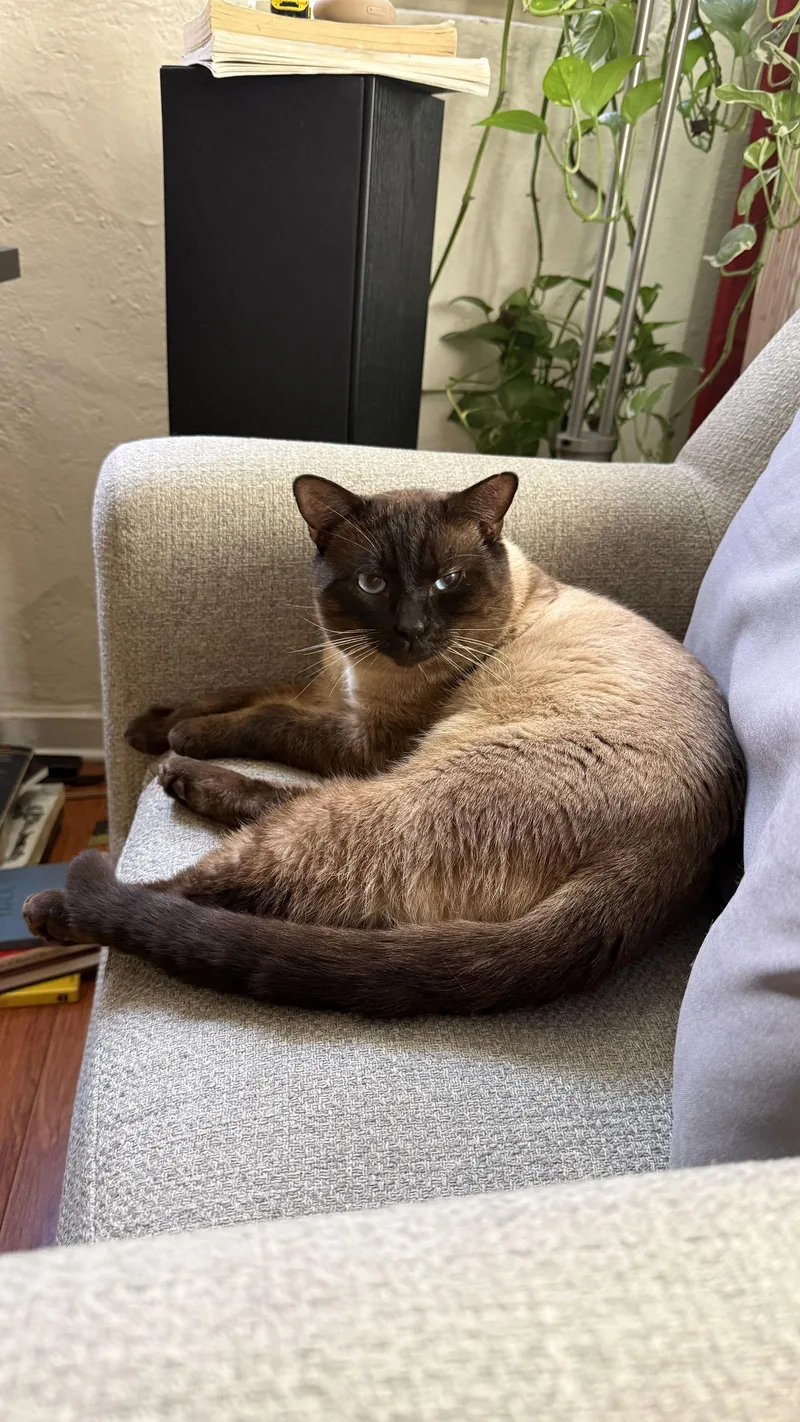 Johnnie Walker thumbnail 3